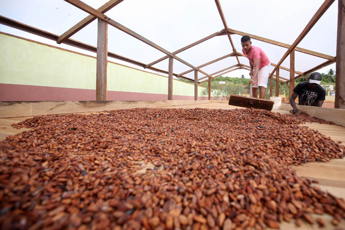 Especialistas em agronegócios reunidos na última semana em Sã