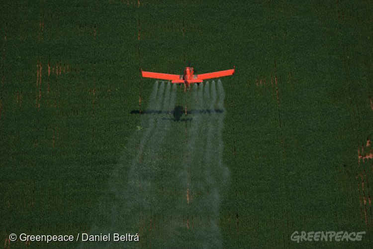 Insecticide Spraying in Brazil