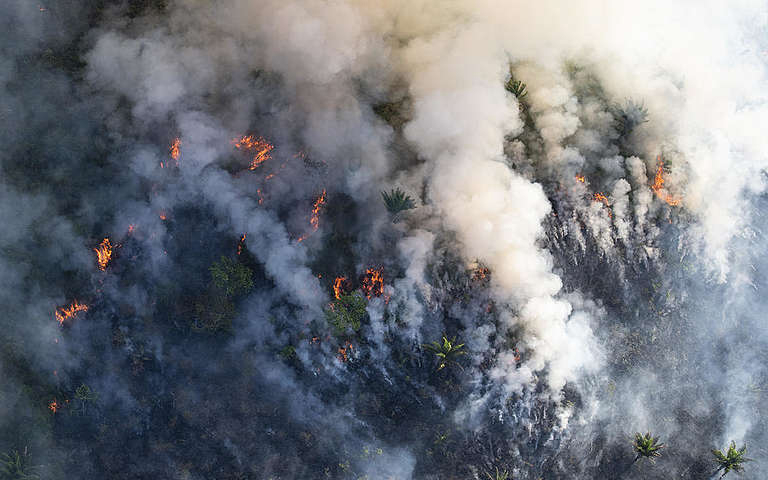 Forest Fires in Brazilian Amazon 2018
Incêndio Floresta na Amazônia 2018