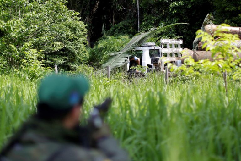 Agente do Ibama intercepta carga de troncos de árvore durante operação para combater mineração e desmatamento ilegal no Estado do Pará