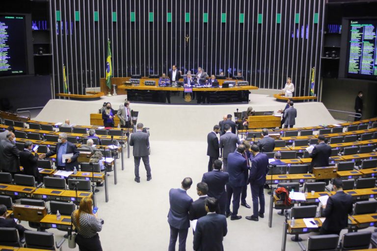 plenario camara