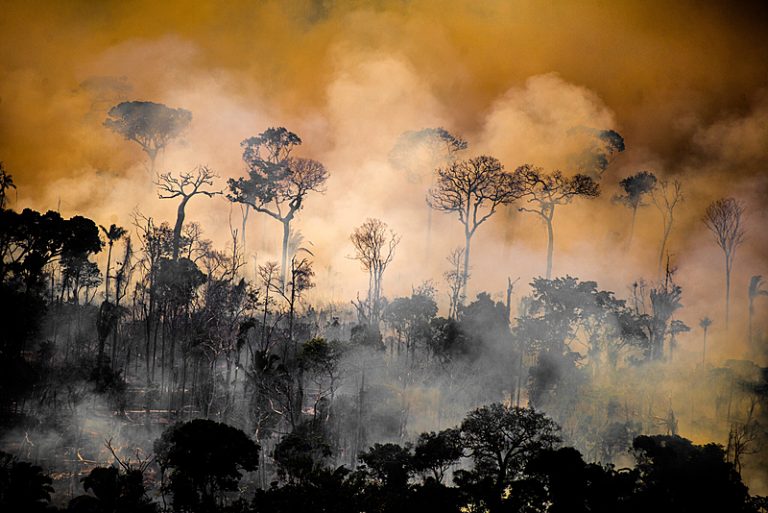 Deforestation and Fire Monitoring in the AmazonMonitoramento de Desmatamento e Queimadas na Amazônia em Agosto de 2020