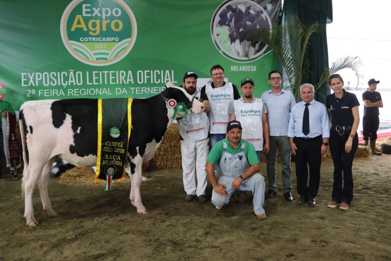 gado-expoagro-cotricampo-1536x1024