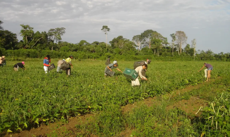 agricultura familiar credito