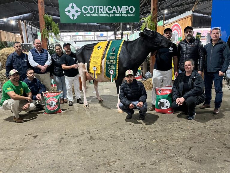 Cotricampo Expointer