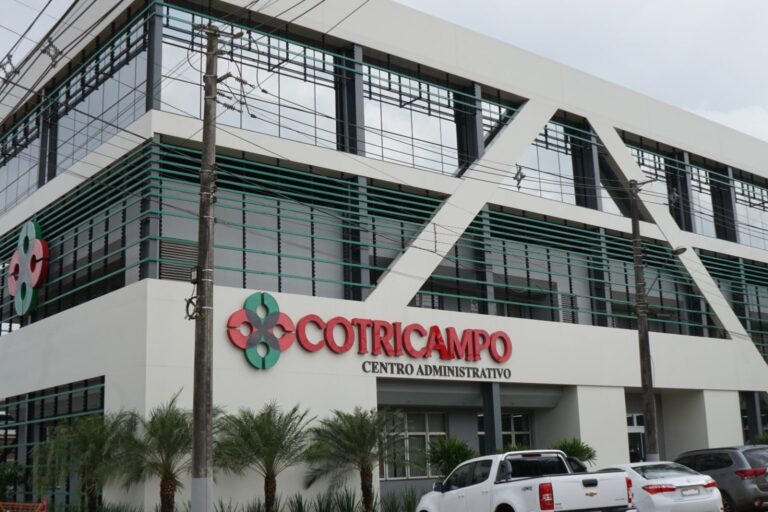 cotricampo centro administrativo