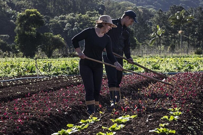 cooperativismo familiar
