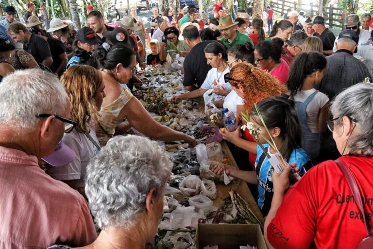 Festa da Semente Crioula