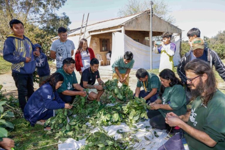 Guaranis meio ambiente